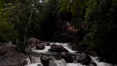 Nature's Symphony: Water Torrents at Nadukani Estate, Wayanad 🏞️