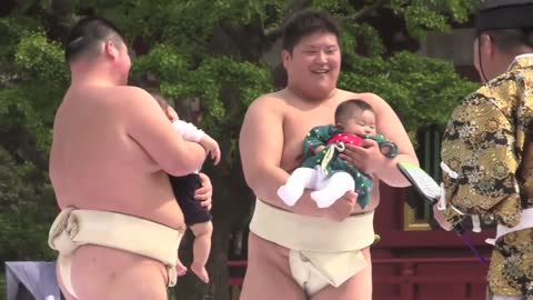 Japanese Baby-Crying Sumo Festival - Nakizumo 泣き相撲