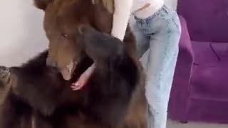 Video: Mujer lleva un oso pardo a su apartamento para mostrárselo su hijo