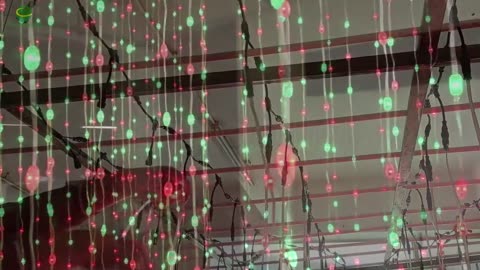 LED string lights Christmas lights