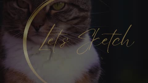 #catreels #catlovers #cat #reels #videoediting #videoeditor