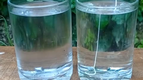 fevicol vs cool+normal water|Simpal science experiment