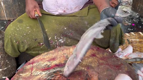 KASIMEDU 🔥 RAJA | LETHER JACKET FISH CUTTING | IN KASIMEDU | HD VIDEO | AMAZING CUTTING 🔪