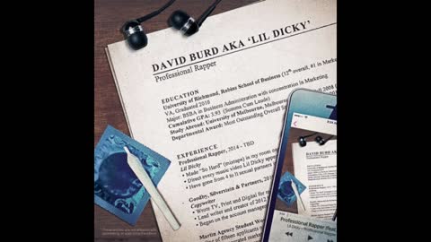 Lil Dicky - Professional Rapper Mixtape