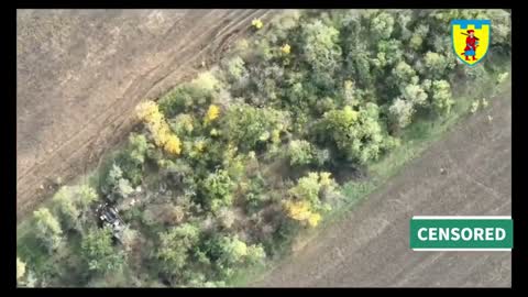 Ukrainian artillery shells russian positions in the Zaporizhzhia region