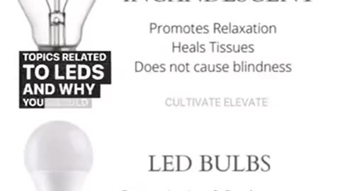 LED Bulbs