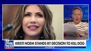 ‘The Five’_ Kristi Noem defends killing farm pup