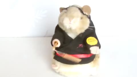 Dancing and Singing Hamster - Kung Fu Fighting Hamster Toy_Cut