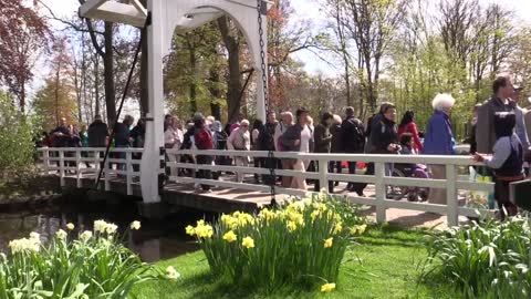 Keukenhof Lisse Holland Tulips