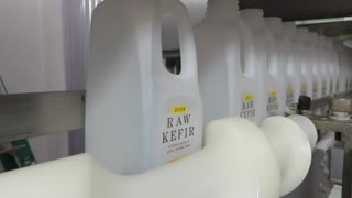 How It Is Made: Raw Kefir ( plain, golden, and vanilla )