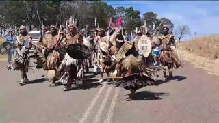 Groups of Buthelezi clan are gathering at KwaPhindangene