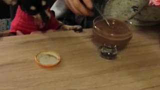 Cute Doggy Sharing Birthday Celebration Dessert