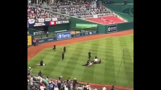 Protesters Disrupt Congressional Baseball Game in DC