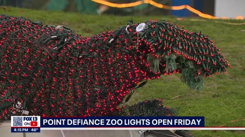 Point Defiance ZooLights back for another year