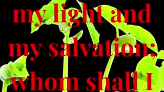 The LORD is my light and my salvation; whom shall I fear?