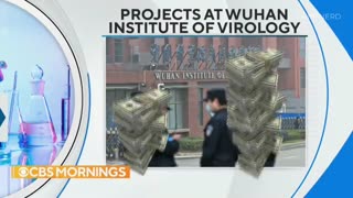 🚨 New Investigation Reveals Wuhan Lab Funding May Be Double What Was Previously Reported