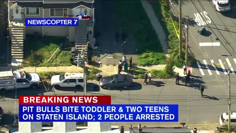 2 teens, toddler attacked by pit bulls on Staten Island