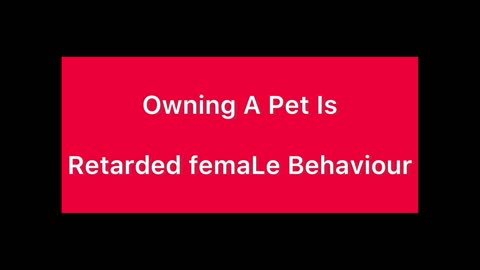 Owning A Pet Is Pointless Gross femaLe Behaviour - girLs Are 14 Year-Olds
