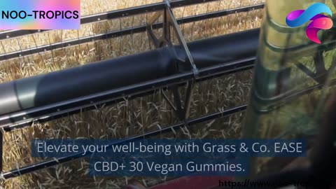 Discover Tranquility with Grass & Co. EASE CBD+ Vegan Gummies