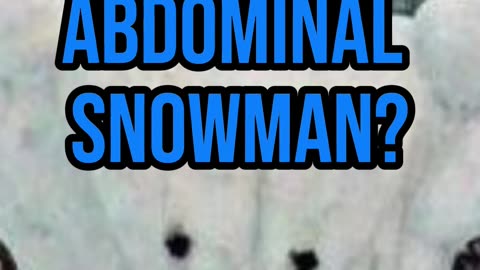 ABDOMINAL SNOWMAN?🤔 #demonologist