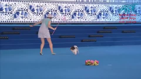 FCI Dog dance World Championship 2021 | Freestyle final | Irina Efremova and Unkas (Russia)