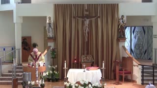 Homily for Divine Mercy Sunday 2023