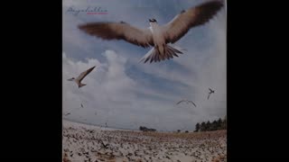 Masayoshi Takanaka - Seychelles {1976} (Full Album)