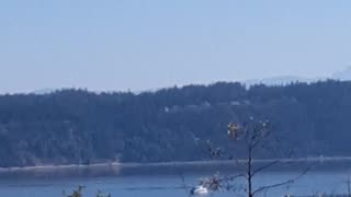 Orca network boat in the Puget sound waters,washington state,part 1