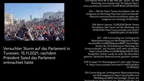 Der Sturm auf den Reichstag - Chronik einer Psy-Op