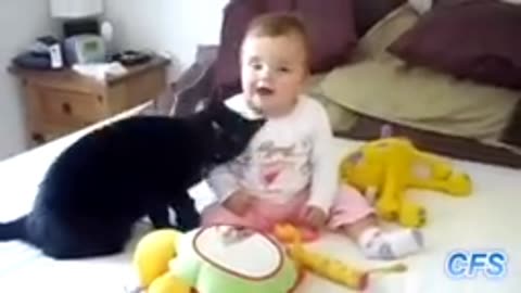 Funny clips video 2023 cute cats pets animals funny video