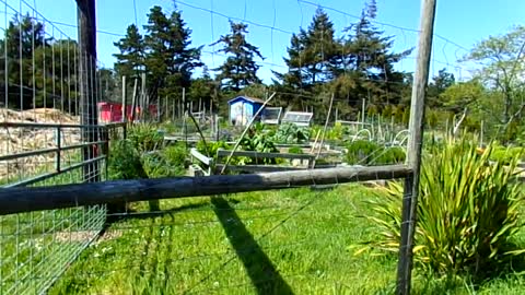 The Port Orford Community Garden:
