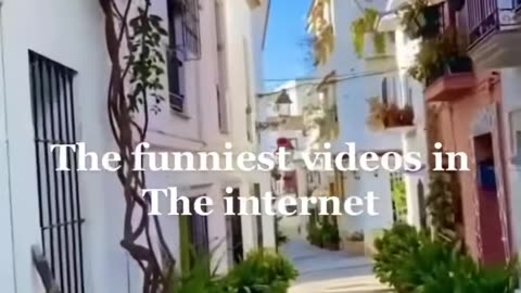 Most Funniest Video Ever On Internet