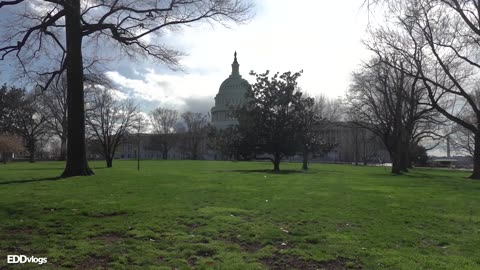 Walking Tour and History - Washington DC