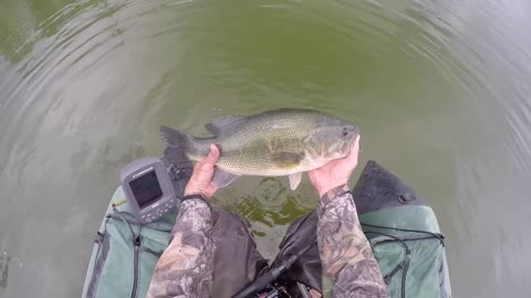 Tricky Bass Fishing - Huge Largemouth - Beautiful Pond