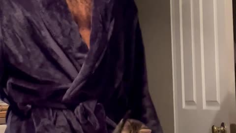 Cat Dad Carries Around His Two Rescue Kittens