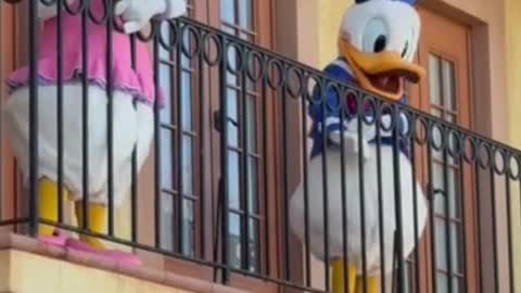 Walt Disney World Hollywood Studios Donald and Daisy Duck Greeting Guests #shorts