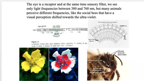 03 - Animal Behavior - Classical ethology 1-2