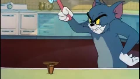 Funny Video(Tom & Jerry)
