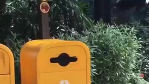 Smart crow 🐦 collects plastic bottle and places it in a recycle bin