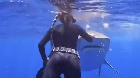 This woman is calmly demonstrating what to do when face to face with a shark