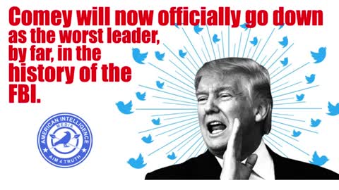 Trump Tweets Bust Senior Executive Operatives