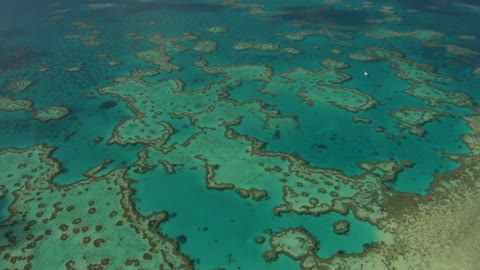 Threats to the Reef impacts of fishing Great Barrier Reef Marine Park Authority