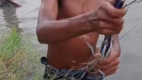 Catching fish from the river
