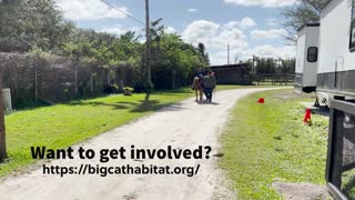 Why Sarasota? Big Cat Habitat and Gulf Coast Sanctuary