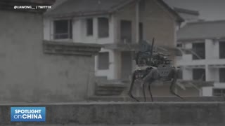 CHINA autonomous robot murder dogs