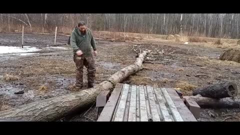 Logging On The Homestead