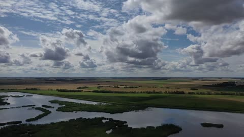 Discover a world of wonder in our captivating video that celebrates the beauty of nature