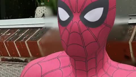 Spiderman Tells You To Touch Grass