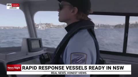 Shark attack rapid response vessels prepared in NSW