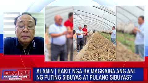 ALAMIN | Bakit nga ba magkaiba ang ani ng puting sibuyas at pulang sibuyas?